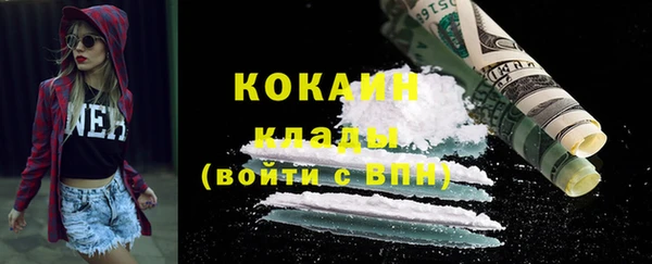 шишки Армянск