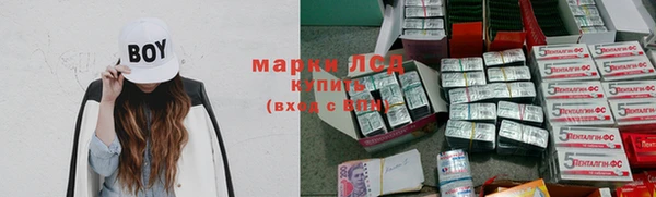 шишки Армянск