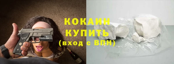 шишки Армянск
