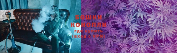 шишки Армянск